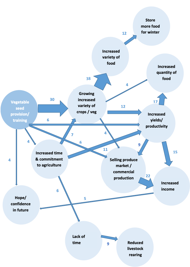 what is a causal map